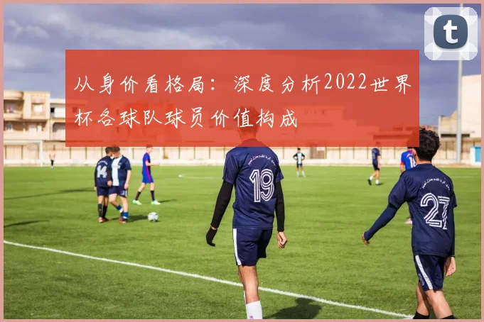从身价看格局：深度分析2022世界杯各球队球员价值构成