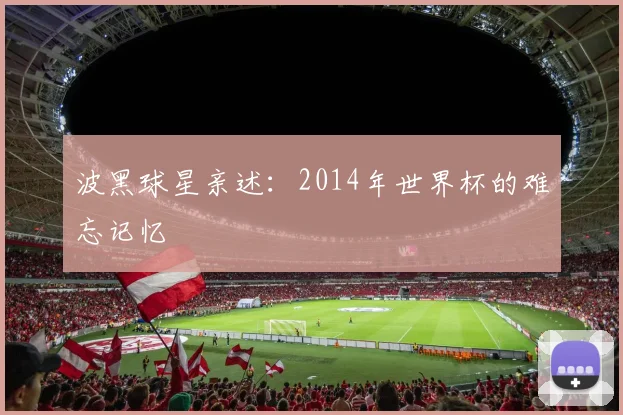 波黑球星亲述:2014年世界杯的难忘记忆
