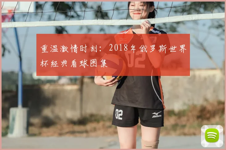 重温激情时刻：2018年俄罗斯世界杯经典看球图集