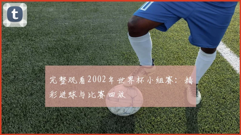 完整观看2002年世界杯小组赛：精彩进球与比赛回放