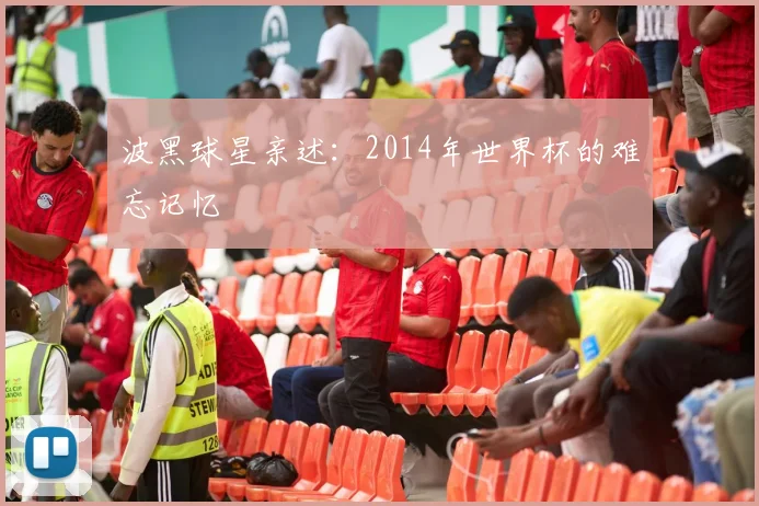波黑球星亲述:2014年世界杯的难忘记忆