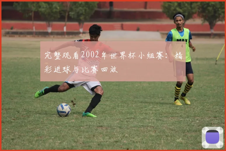 完整观看2002年世界杯小组赛：精彩进球与比赛回放